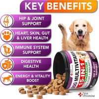 (2 Pack) Dog Multivitamin Chews - 240 count