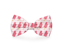 Ice Pops Bow Tie