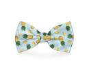 Tropic Like It's Hot Bow Tie