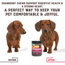 All Natural Dog Cranberry Supplement - 180 count