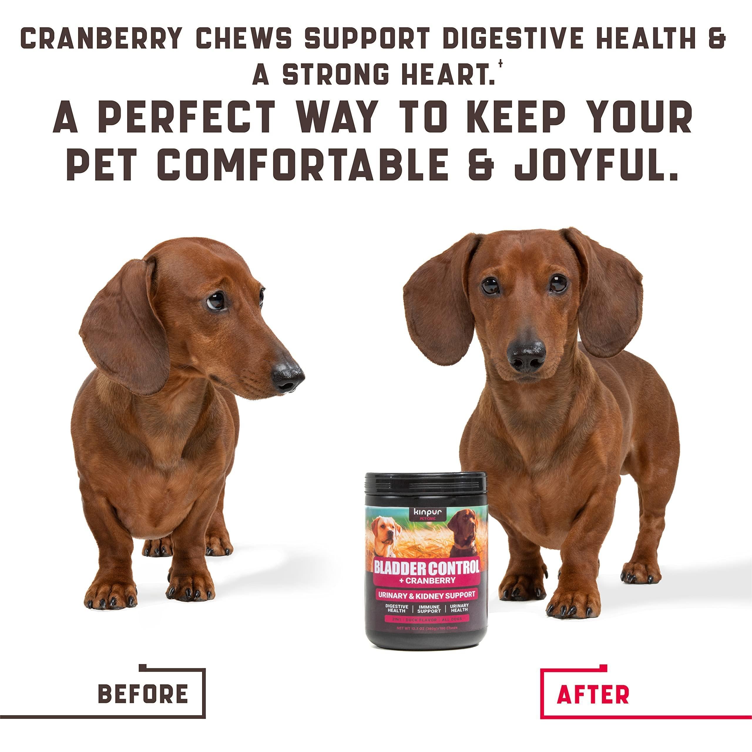 All Natural Dog Cranberry Supplement - 180 count