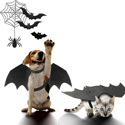 Spooky Bat Wing Costume