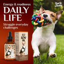 Charlie & Buddy Pet Hemp Oil