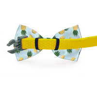 Tropic Like It's Hot Bow Tie